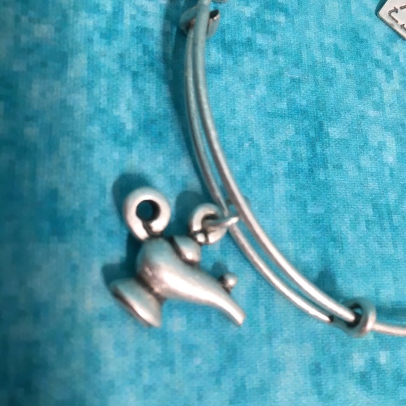Alex and Ani Silver Lamp of Light Bangle - Picture 2 of 8